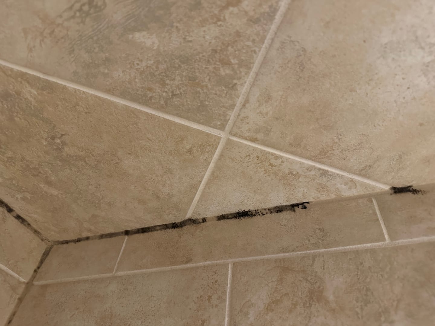 Customer photo review of GLASSGUARD™ Miracle Mold Removal Gel