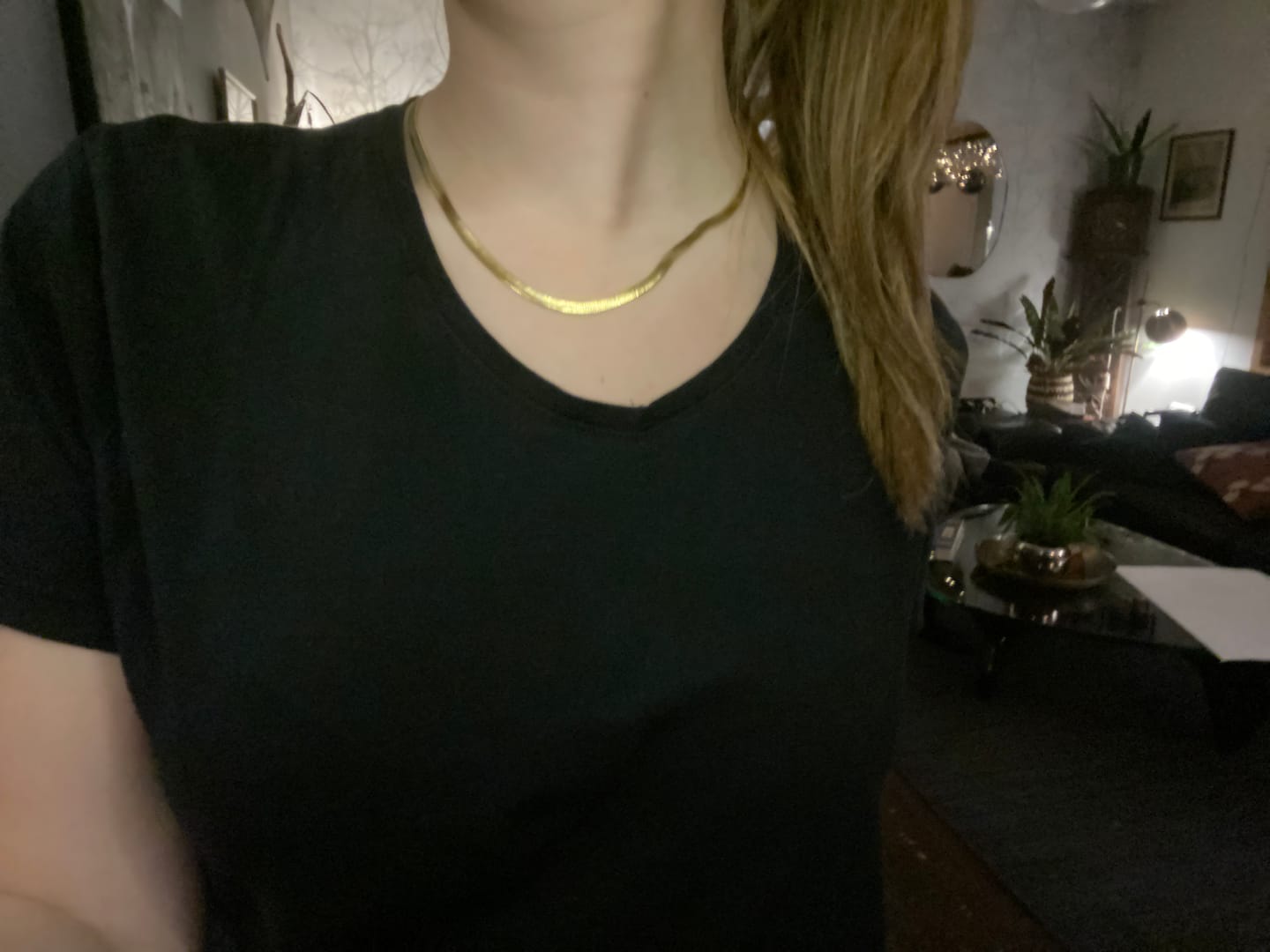Customer photo review of Ivy - Snake Chain Necklace Stainless Steel