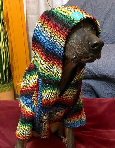 Customer photo review of Playa Poncho - Surprise Color