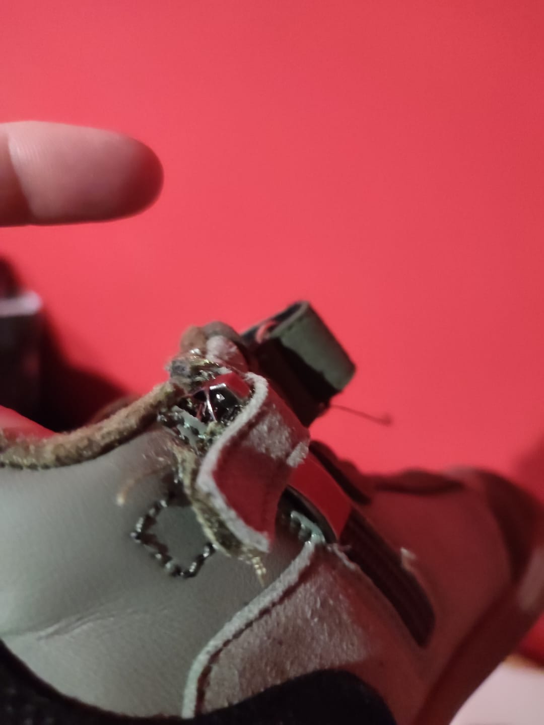 Customer photo review of Niños Invierno Barefoot Defender Wonderland Ⅰ