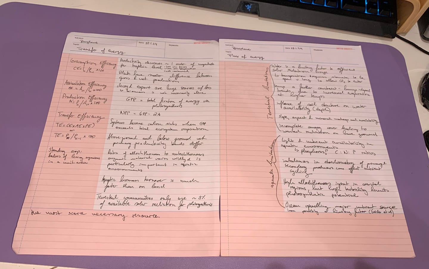 Customer photo review of Cornell Notes Notepad