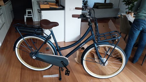 Customer photo review of E-Cargo N3