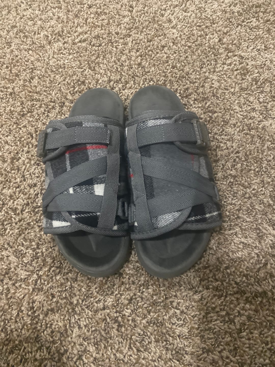 Customer photo review of Plaid Dracos