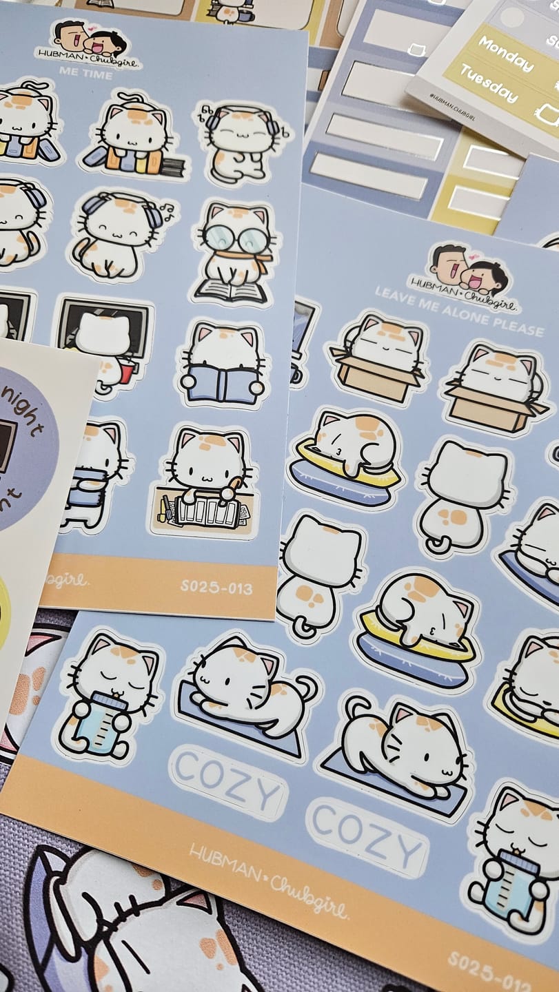 Customer photo review of (Pre-order) Cozy Cat Box Set