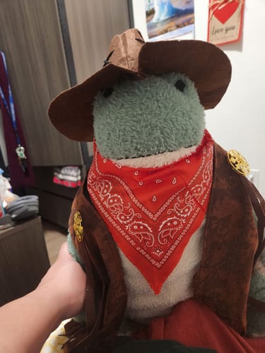 Customer photo review of THE COWBOY