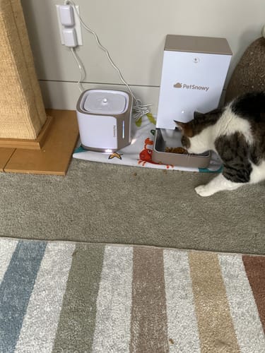 Customer photo review of Automatic Pet Feeder