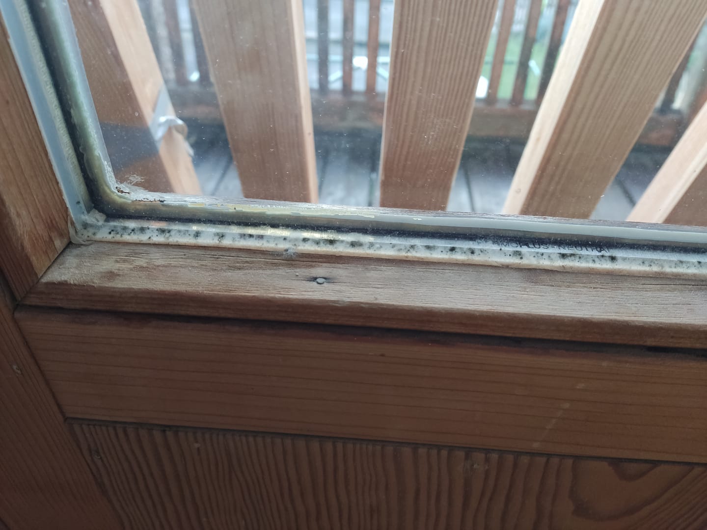 Customer photo review of Fungex Home
