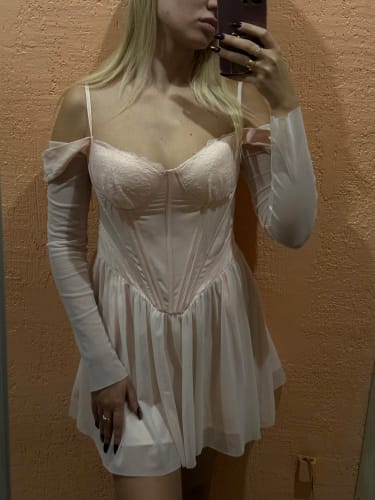 Customer photo review of Mesh Long Sleeve Pink A-Line Mini Dress