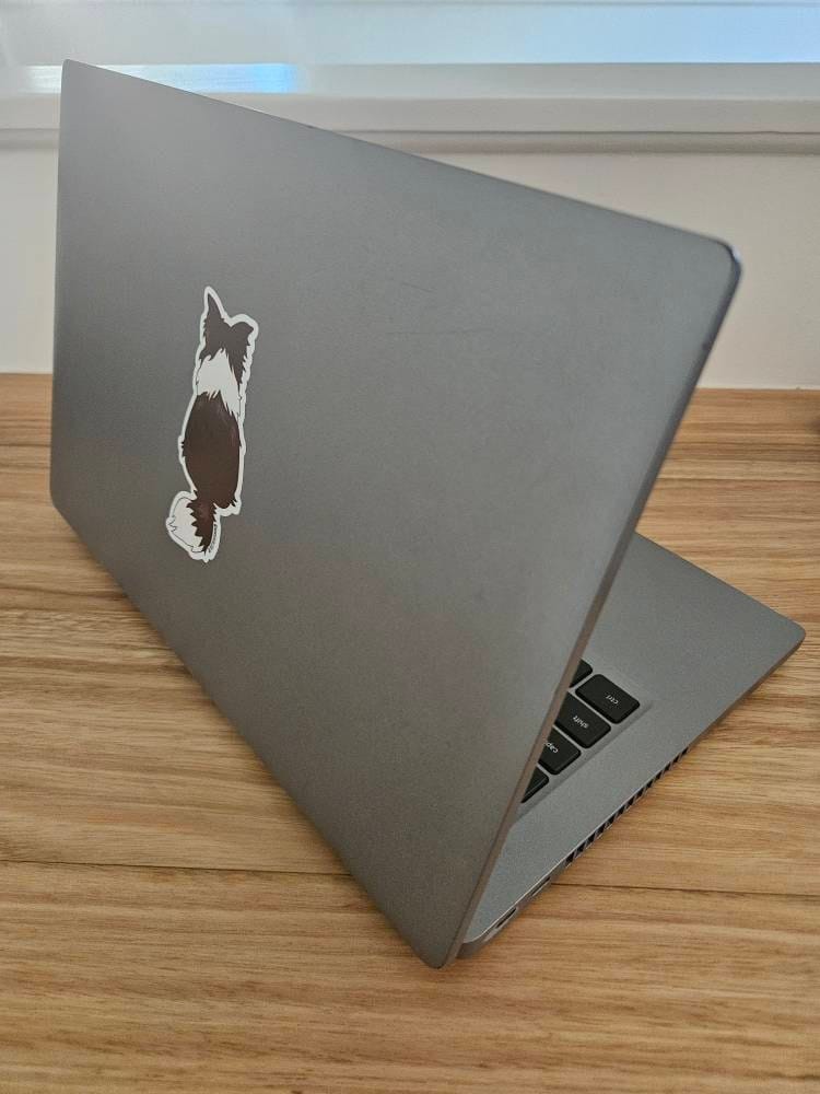 Customer photo review of Border Collie Back Sticker