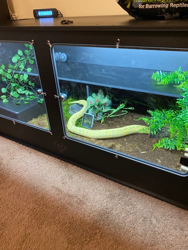 Customer photo review of XT4 BIO (48Lx24Dx24H) - STACKABLE