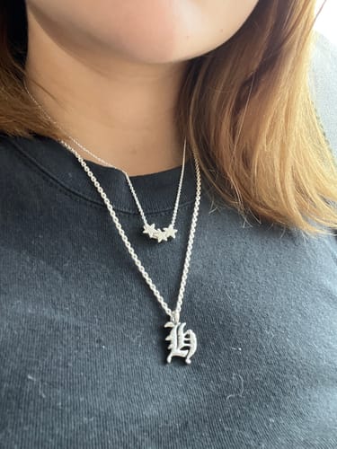 Customer photo review of H Icon Necklace