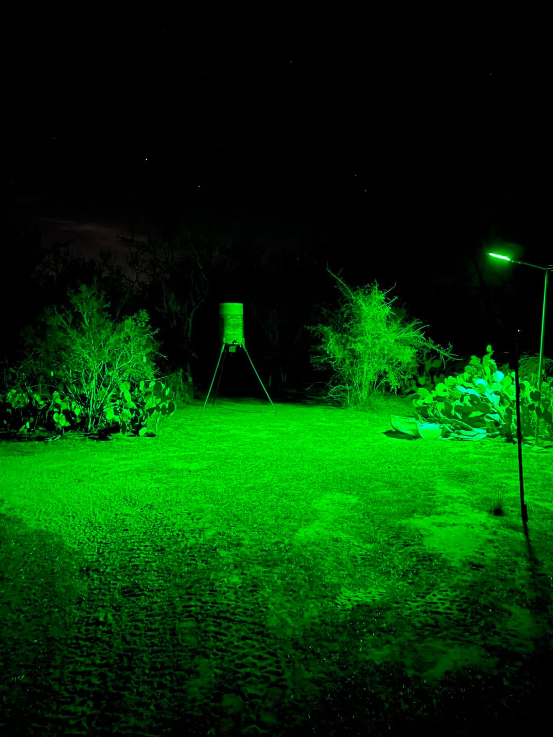 Customer photo review of Solar Green Floodlight for Night Hunting -10,000 lumens