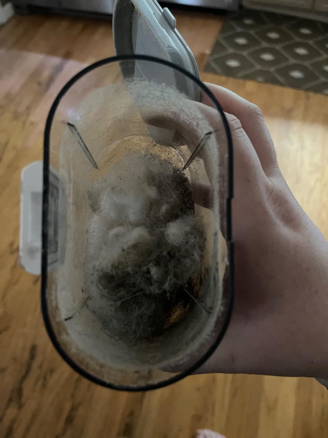 Customer photo review of T600 Mattress Vacuum Cleaner