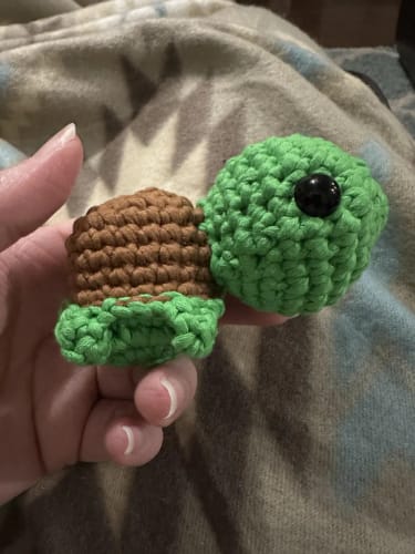Customer photo review of Turtle Crochet Kit