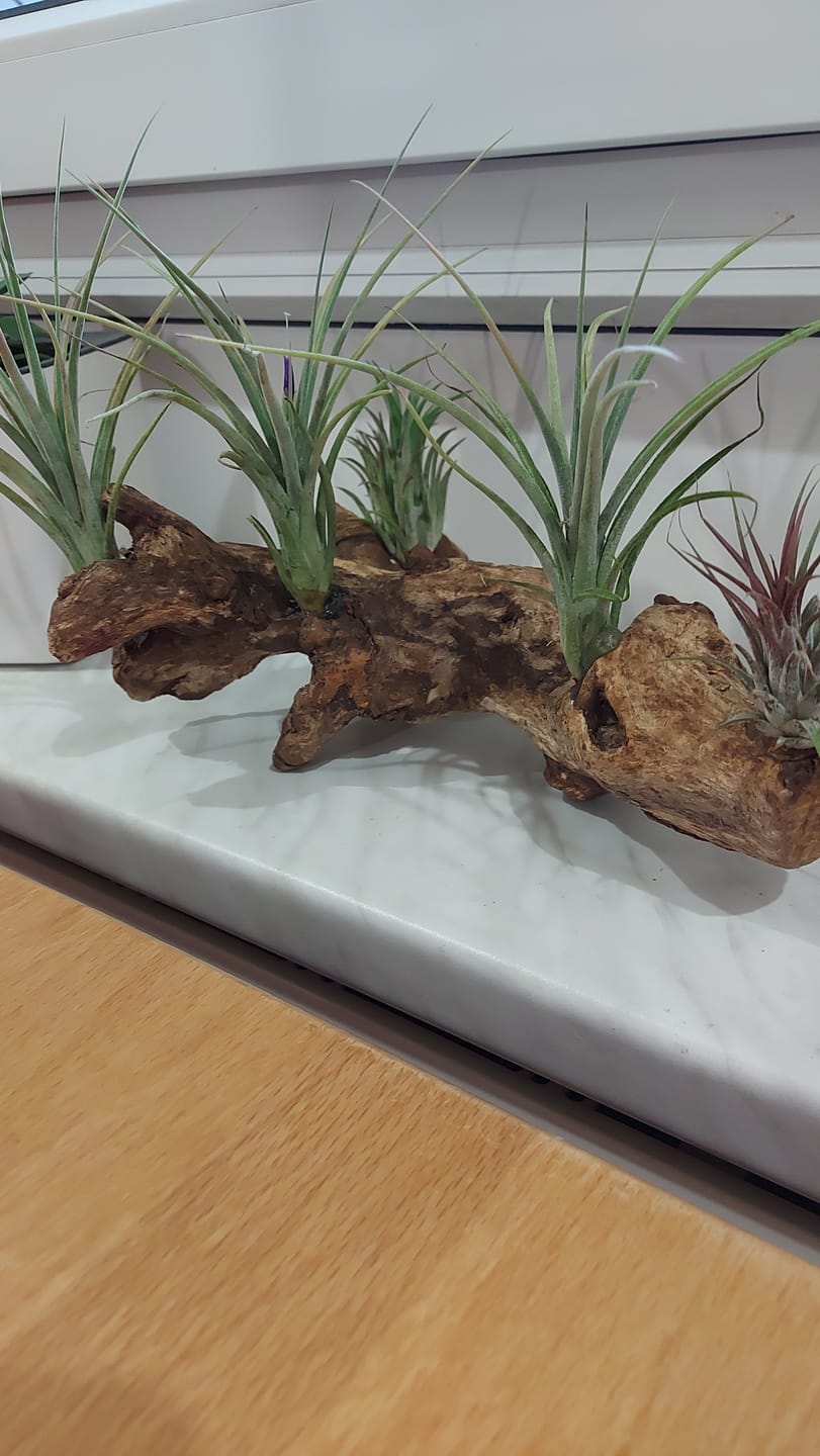 Customer photo review of UHU POLY MAX - Kleber