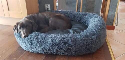 Customer photo review of CalmBed - Motverkar stress & hjälper mot ångest