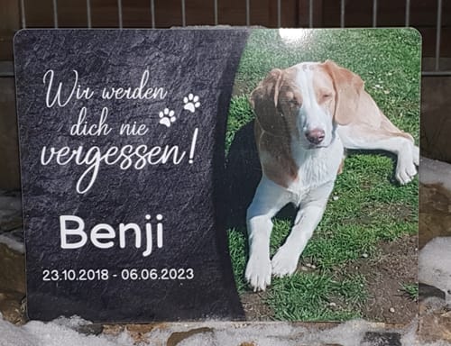 Customer photo review of Hunde Gedenktafel mit Foto & Spruch (UV- & Wetterfest)