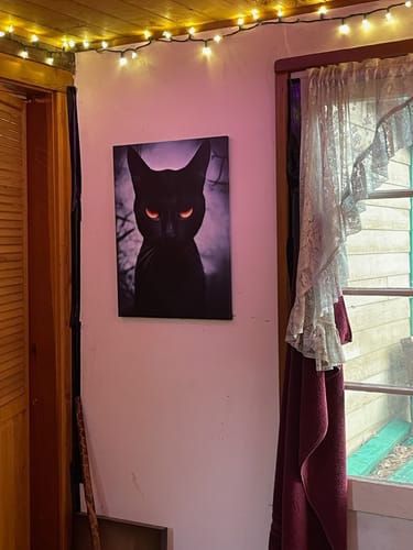 Customer photo review of Mystical Black Cat