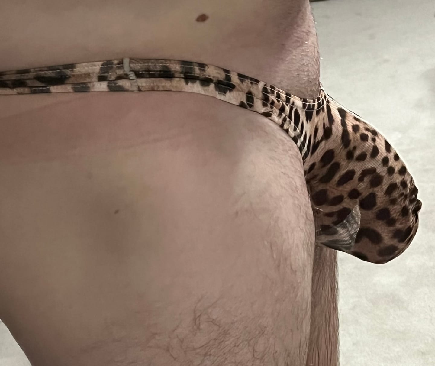 Customer photo review of 4 Pack Leopard Print See-through Mesh Thongs