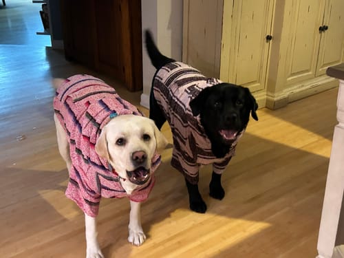 Customer photo review of Playa Poncho - Surprise Color