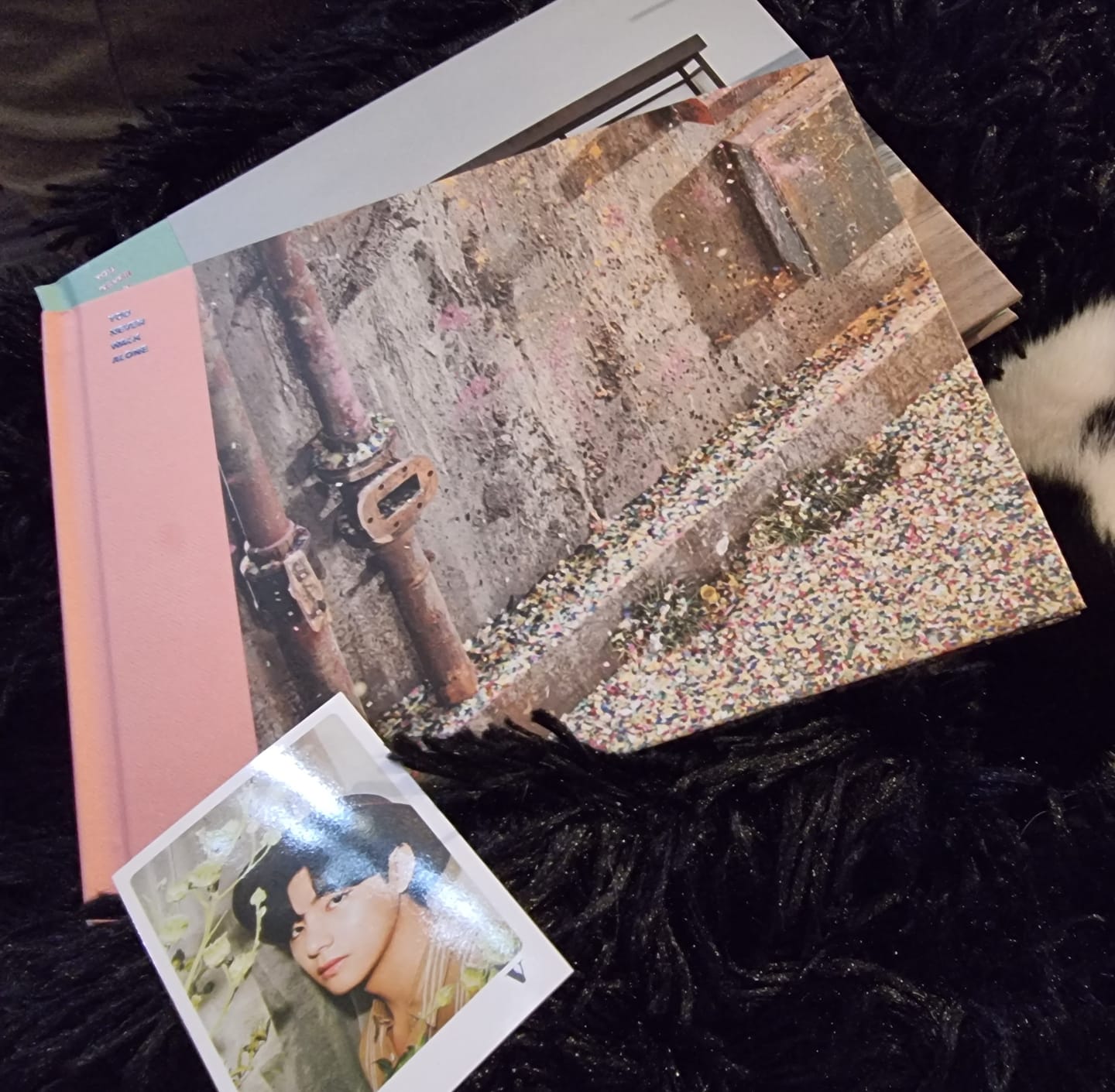 Customer photo review of BTS - 2ND SPECIAL ALBUM YOU NEVER WALK ALONE