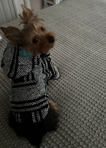 Customer photo review of Playa Poncho - Surprise Color