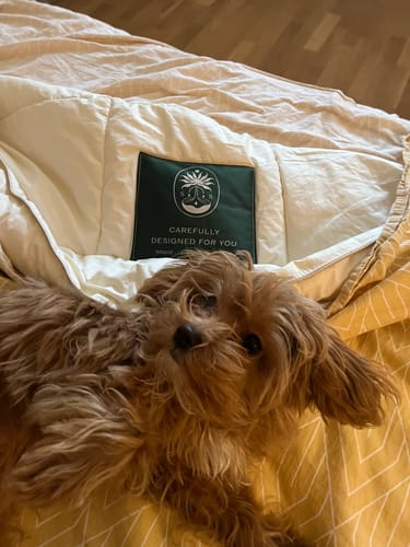 Customer photo review of Cosy Yorgan