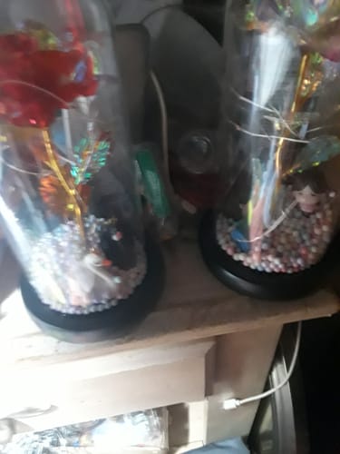 Customer photo review of Enchanted Galaxy Forever Rose™