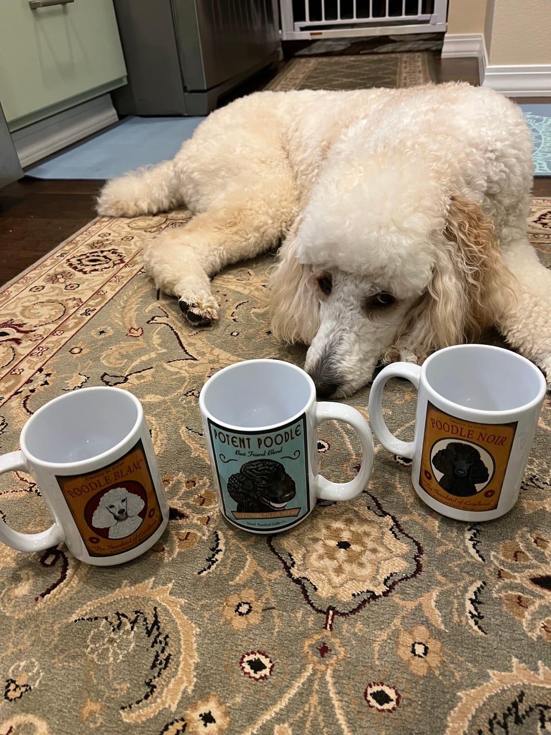 Customer photo review of Poodle Art (White) "Poodle Blanc" 15 oz. White Mug