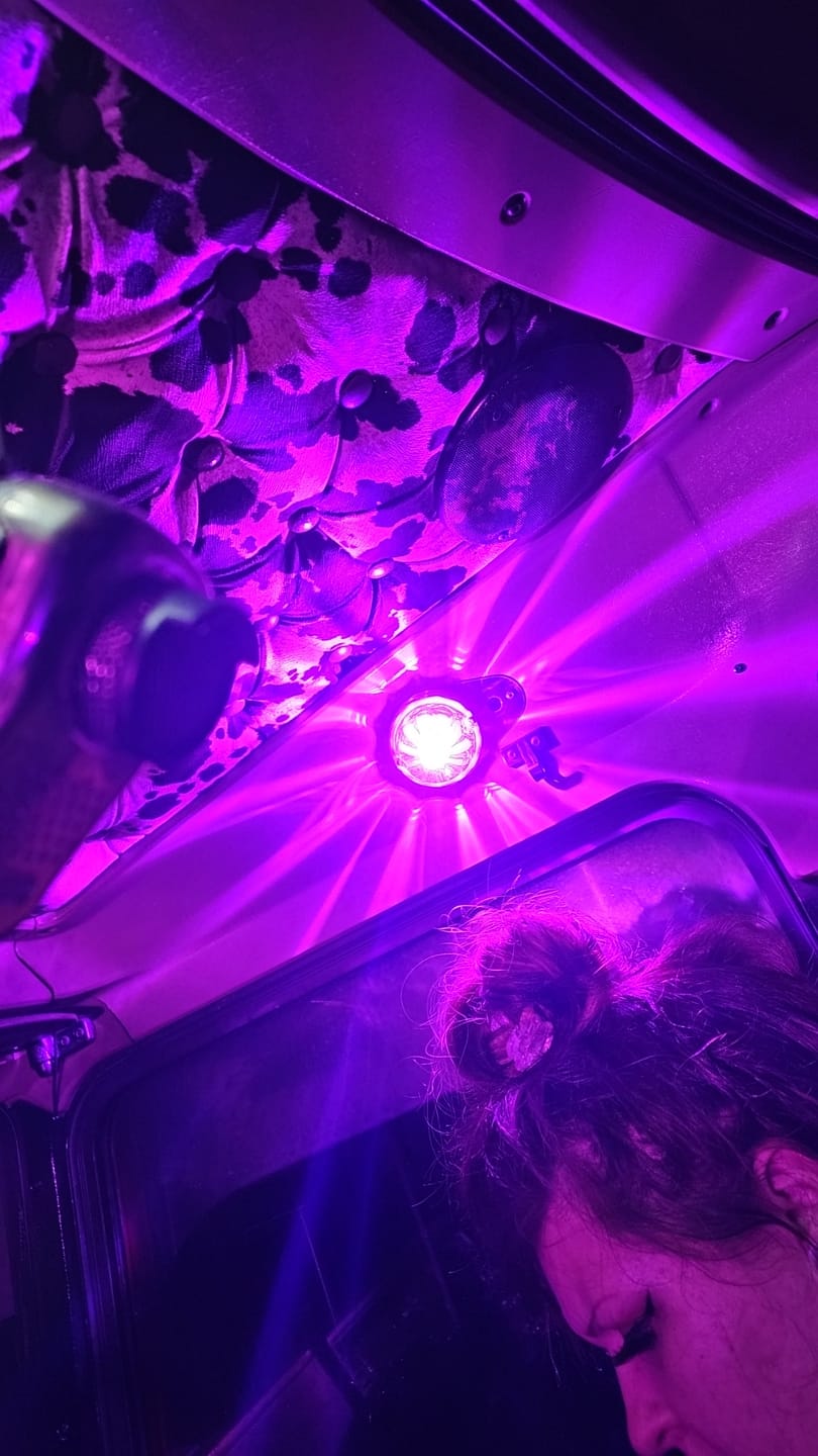 Customer photo review of Watermelon led bulb for glass lens lights 1157 [two wire style] (choose color)