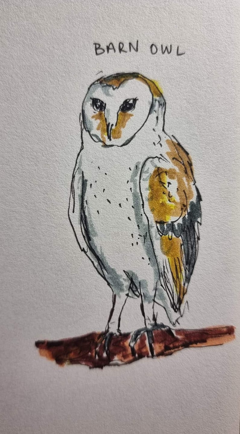 Customer photo review of Ohuhu Maui 160 Colors Dual Tips Water Based Art Markers, Brush & Fineliner