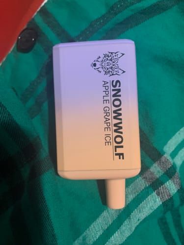 Customer photo review of Snowwolf Max 6000