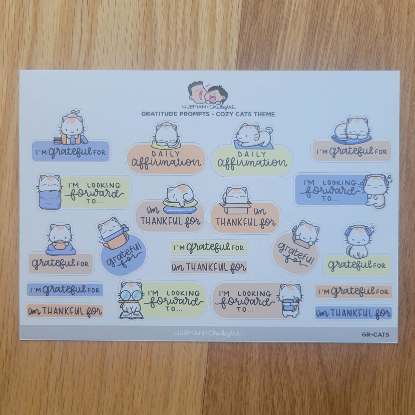 Customer photo review of Sticker Sheet - Gratitude Prompts Cozy Cat Theme