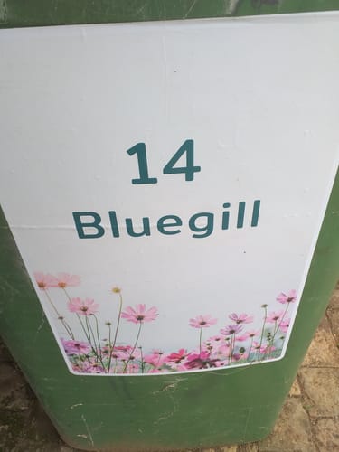 Customer photo review of Bin Label