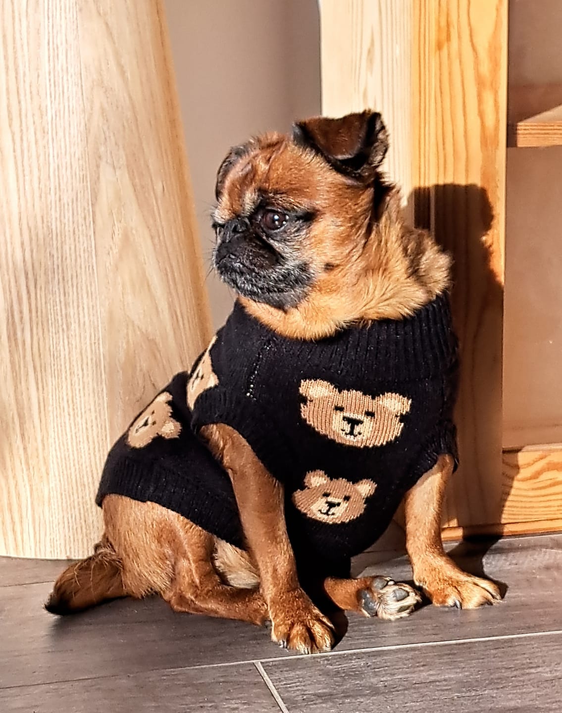 Customer photo review of Broken Teddy Bear Knit Dog Sweater - Black