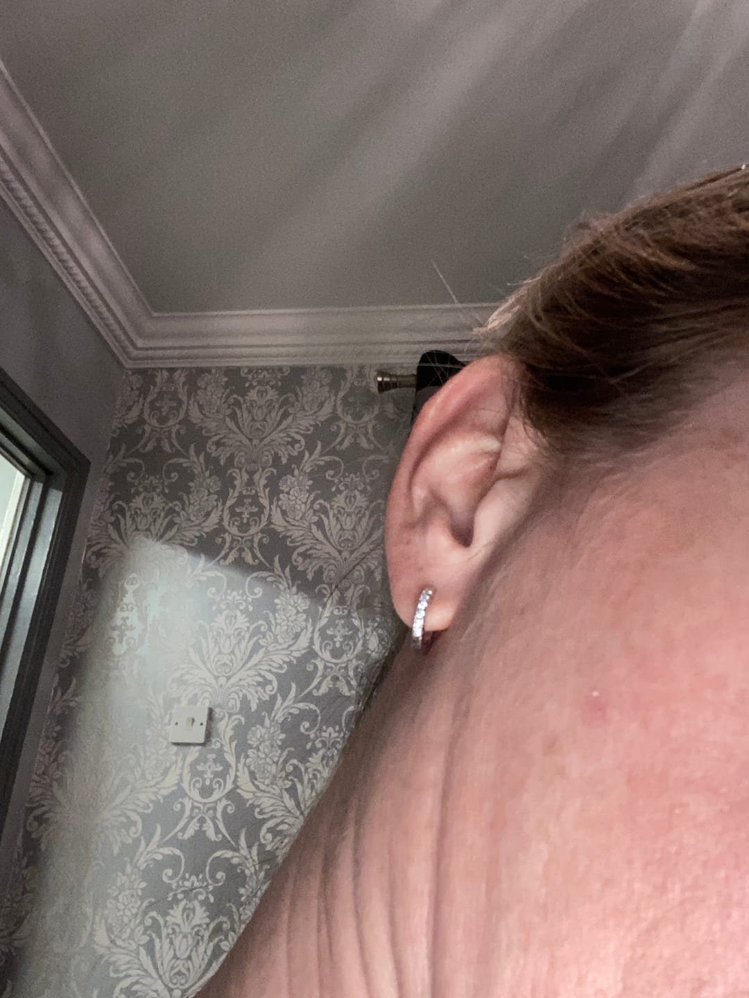 Customer photo review of Moissanite Hoop Earrings