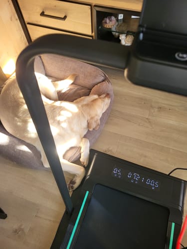 Customer photo review of Dreaver S340 Loopband - Inklapbaar - 1-10km/u - Inclusief Beschermmat