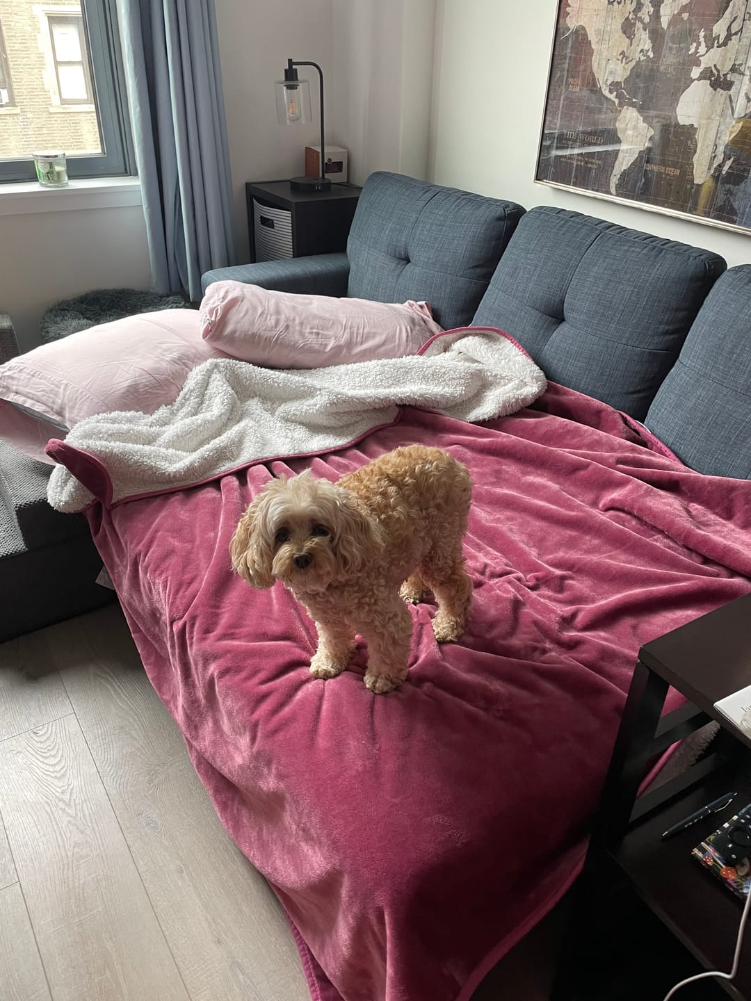 Customer photo review of Waterproof Splash Blanket™️ - Mulberry The OG