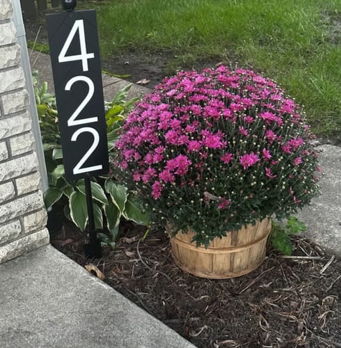 Customer photo from Ken W.