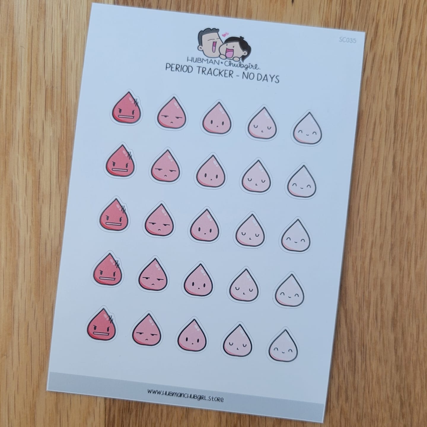 Customer photo review of Period Tracker Planner Stickers - No days