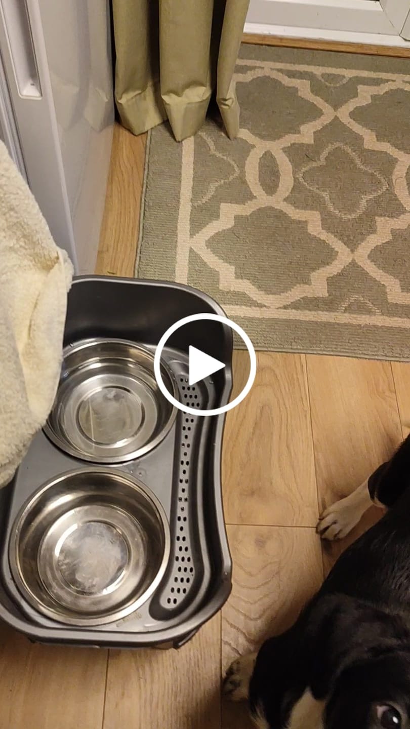 Customer video review of MultiProtein Dry Puppy Food
