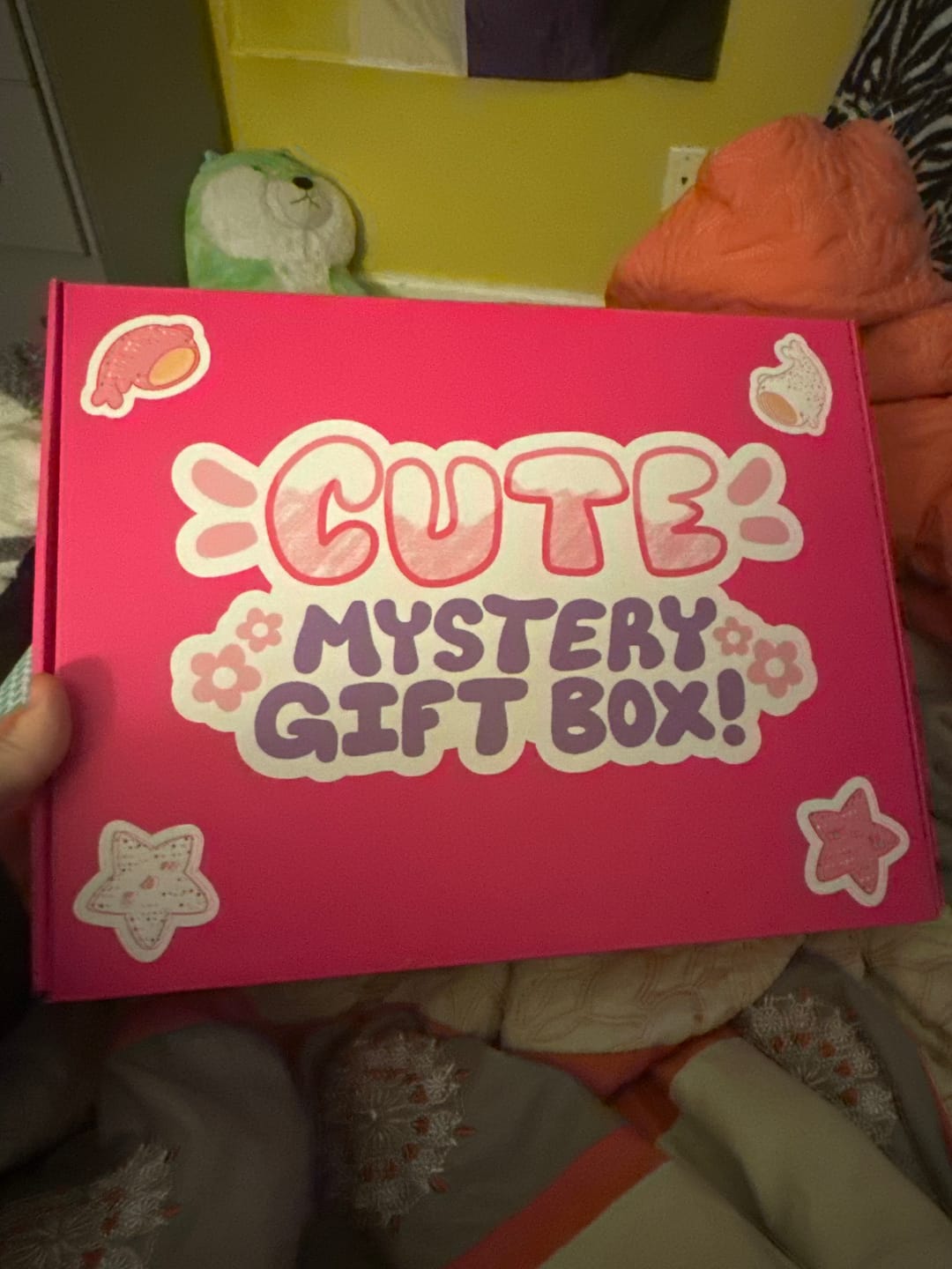 Customer photo review of Cute Mystery Gift Box