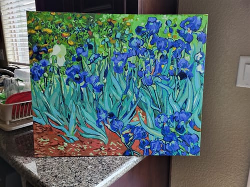 Customer photo review of Irises - Paint by Numbers