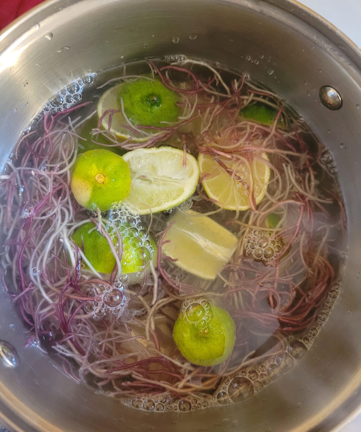 Customer photo review of RAW SEA MOSS