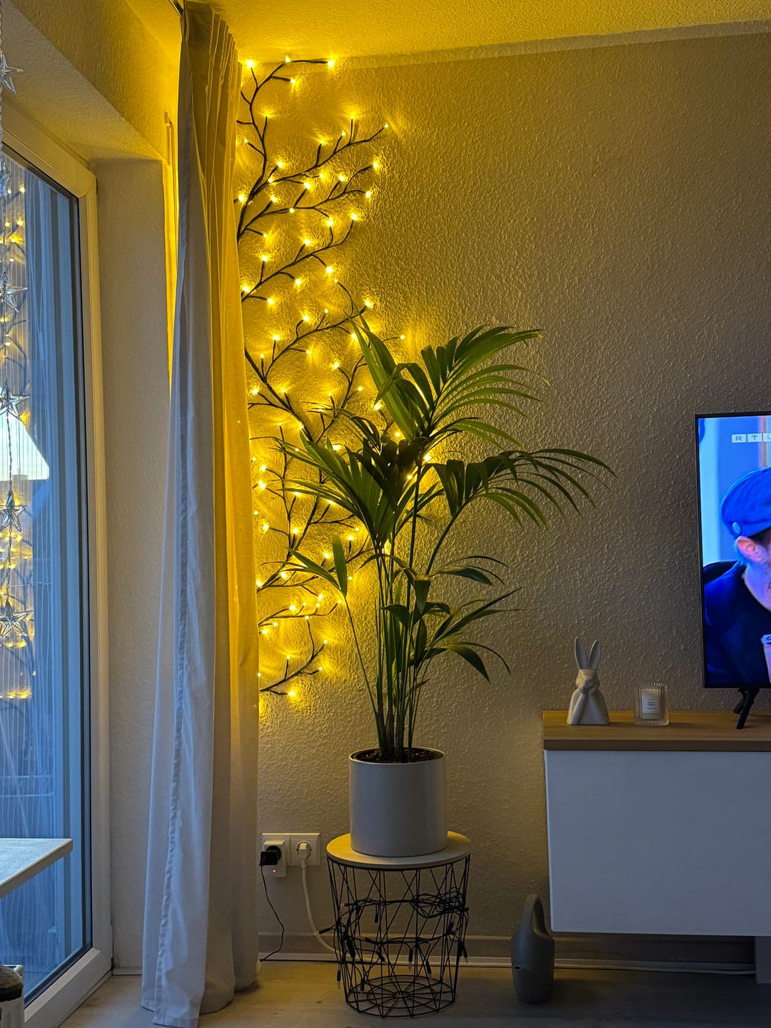 Customer photo review of Bäumlein® - Weinrebe mit 144 LED's