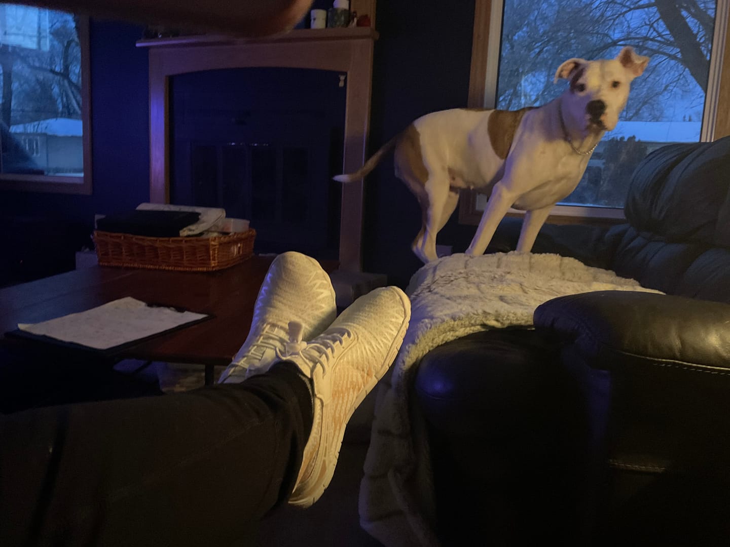 Customer photo review of Lorax Pro – All-Day Comfort & Pain-Free Barefoot Shoes