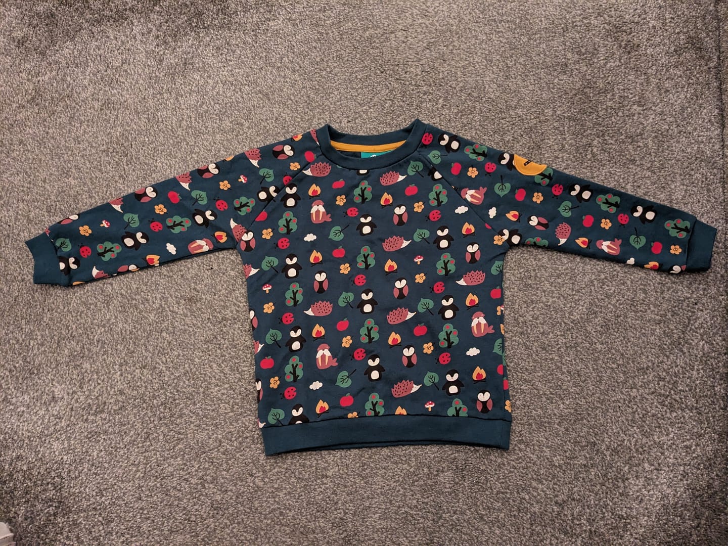Customer photo review of Woodland Walk Long Sleeve Raglan Sweatshirt