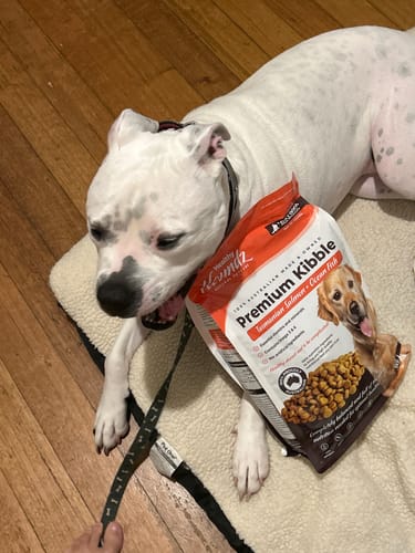 Customer photo review of SALMON & OCEAN FISH - SENSITIVE DOG BLEND 3KG (ADULT)