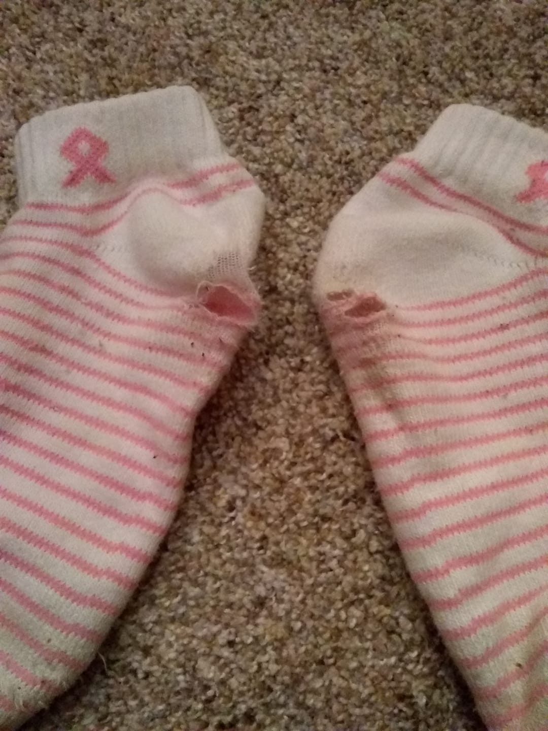 Customer photo review of 3pr Pink Ribbon Ankle Quarter Socks