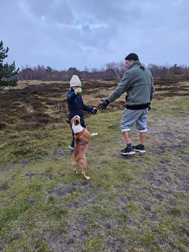 Kundeanmeldelse med foto af Teddy Herre I Beetle I Marley